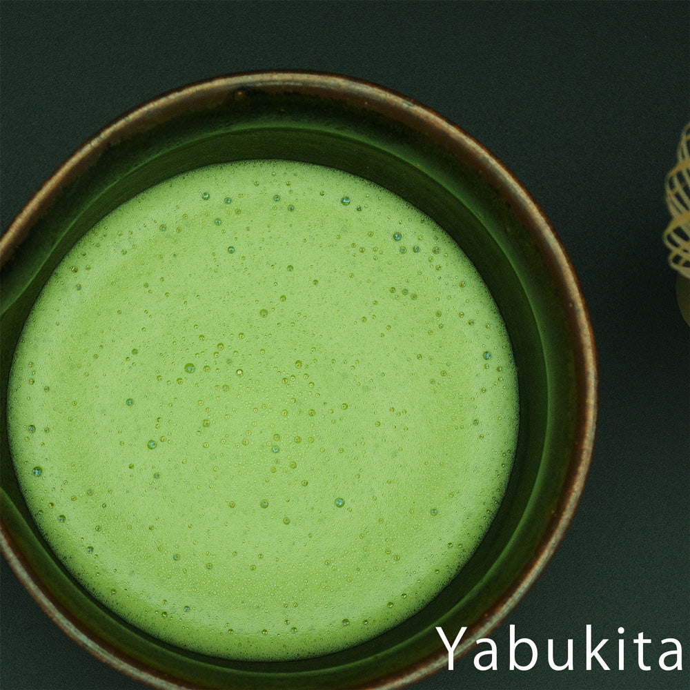 Matcha Yabukita Ceremonial Grade 1kg sample