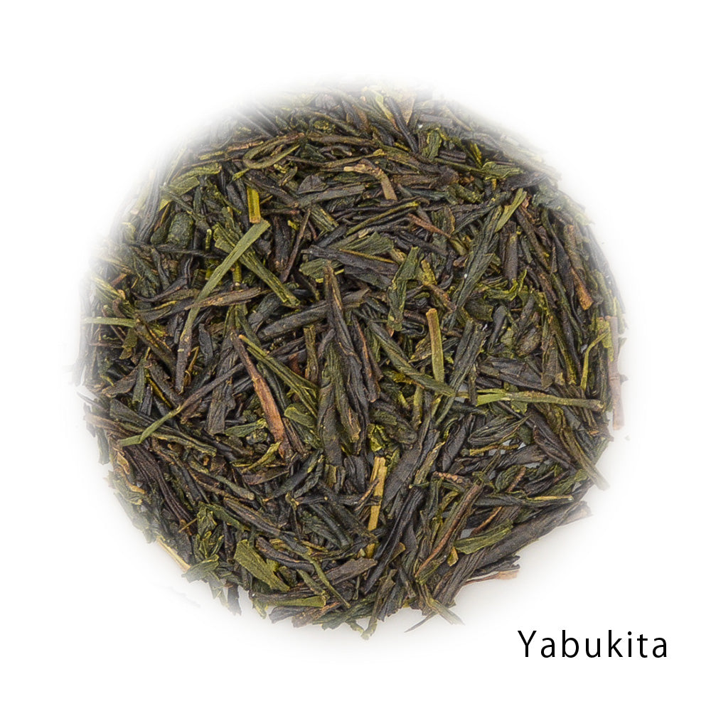 GABA Gyokuro Organic Yabukita 1kg sample
