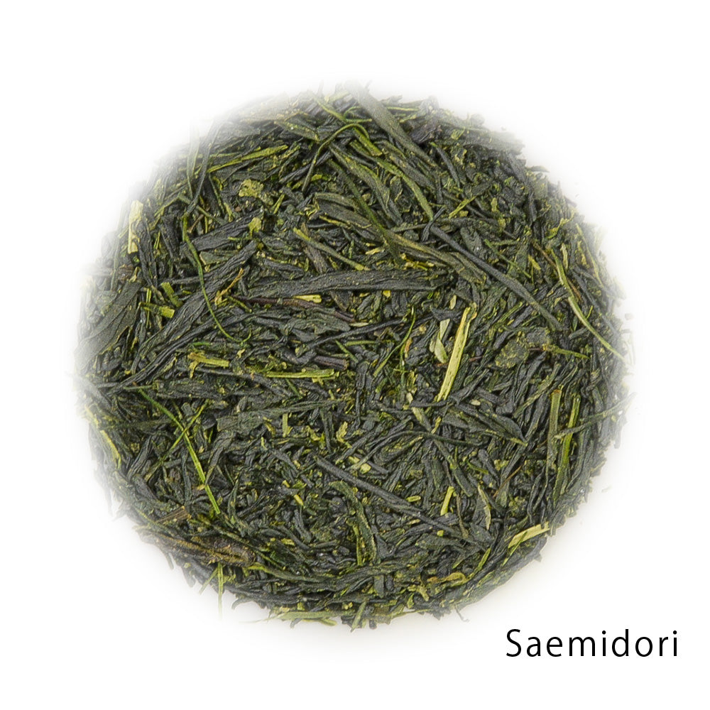 GABA Gyokuro Saemidori 1kg sample
