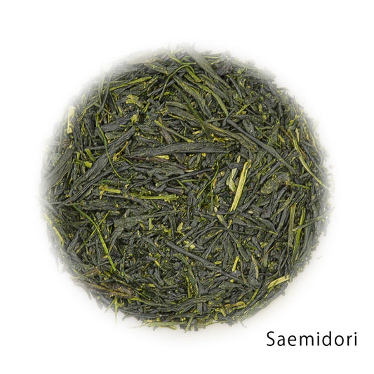 GABA Gyokuro Saemidori  1kg sample