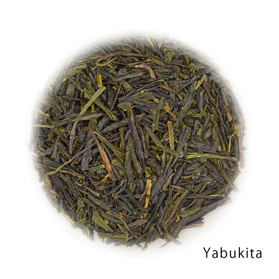 Yabukita green tea leaves.